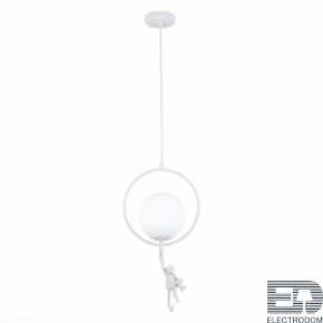 Светильник подвесной Evoluce Tenato SLE115113-01 - цена и фото