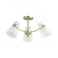 Люстра потолочная Lumion Comfi 4535/3C - цена и фото Люстра потолочная Lumion Comfi 4535/3C - цена и фото