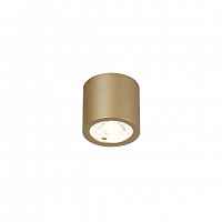 Потолочный светильник Favourite DEORSUM 2807-1C - цена и фото