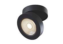 Потолочный светильник Maytoni Alivar C022CL-L7B4K - цена и фото