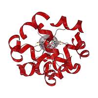 Люстра потолочная ST LUCE SEGRETO SL452.602.03 - цена и фото
