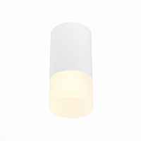 Светильник потолочный ST LUCE ST100 ST100.512.01 - цена и фото Светильник потолочный ST LUCE ST100 ST100.512.01 - цена и фото