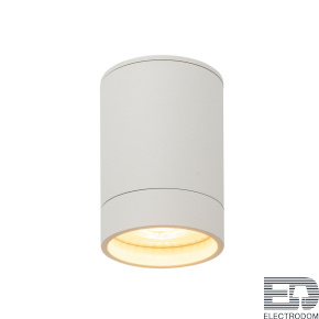 Накладной светильник Denkirs DK2000 DK2050-WH - цена и фото