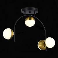 EVOLUCE SLE6500-402-04 Люстра потолочная Черный,Золотистый/Белый LED 4*8W 4000K - цена и фото
