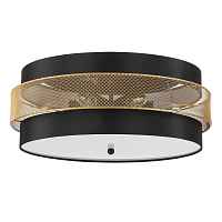 Потолочный светильник Lumion Moderni Animaisa 8003/6C - цена и фото Потолочный светильник Lumion Moderni Animaisa 8003/6C - цена и фото