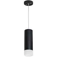 Lightstar Комплект со светильником Rullo RP48731 - цена и фото Lightstar Комплект со светильником Rullo RP48731 - цена и фото