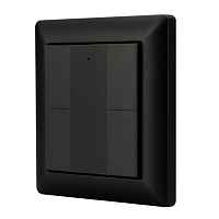 Панель DALI-223-4K-D2-IN-BLACK (BUS, Free purpose) Arlight - цена и фото Панель DALI-223-4K-D2-IN-BLACK (BUS, Free purpose) Arlight - цена и фото