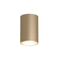 Накладной светильник Denkirs TUBE DK2050-SG - цена и фото Накладной светильник Denkirs TUBE DK2050-SG - цена и фото