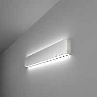 Настенный светодиодный светильник Elektrostandart 101-100-40-53 6500К матовое серебро