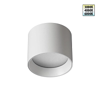 Светильник накладной Novotech ORBIS 359592 - цена и фото