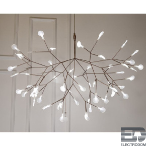 Подвесной светильник L'arte Luce Heracleum L32520 - цена и фото