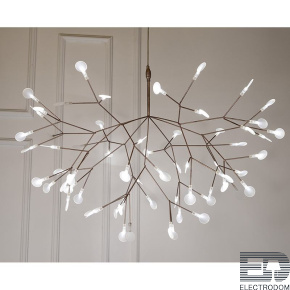 Подвесной светильник L'arte Luce Heracleum L32520 - цена и фото