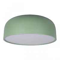 Потолочный светильник Axel 10201/480 Green - цена и фото