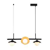 Светильник подвесной Corazza 10015/4P Black V000281 - цена и фото Светильник подвесной Corazza 10015/4P Black V000281 - цена и фото