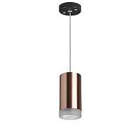 Lightstar Комплект со светильником Rullo RP430430 - цена и фото Lightstar Комплект со светильником Rullo RP430430 - цена и фото