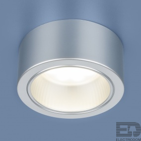 Накладной потолочный светильник Elektrostandart 1070 GX53 SL серебро - цена и фото