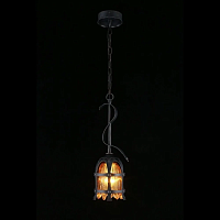 Подвесной светильник Aployt Simona APL.500.06.01 - цена и фото