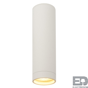 Накладной светильник Denkirs DK2000 DK2052-WH - цена и фото