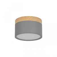 Накладной светодиодный светильник Loft IT Grape 10162 Grey