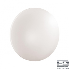 Настенно-потолочный светильник Sonex Simple 3017/EL - цена и фото