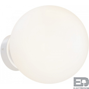 Настенно-потолочный светильник Basic form Maytoni MOD321WL-01W1 - цена и фото