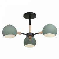 Потолочный светильник Freya Trisha FR5032CL-03B - цена и фото Потолочный светильник Freya Trisha FR5032CL-03B - цена и фото