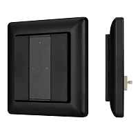 Панель DALI-223-2K-D2-IN-BLACK (BUS, Free purpose) Arlight - цена и фото Панель DALI-223-2K-D2-IN-BLACK (BUS, Free purpose) Arlight - цена и фото
