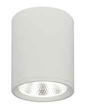 Накладной светильник Escada 20003SMU/02LED SWH - цена и фото Накладной светильник Escada 20003SMU/02LED SWH - цена и фото
