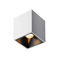 Потолочный светильник Maytoni Technical C065CL-8W2.7K-SQ-WB - цена и фото