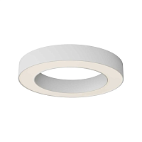 Потолочный светильник Maytoni Technical C093CL-36W3K-W - цена и фото