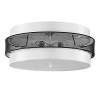 Потолочный светильник Lumion Moderni Animaisa 8002/6C - цена и фото Потолочный светильник Lumion Moderni Animaisa 8002/6C - цена и фото