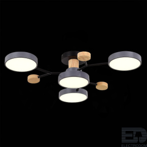 EVOLUCE SLE6006-702-04 Светильник потолочный Серый/Серый LED 4*12W 3000K/4500K/6000K - цена и фото