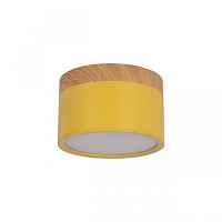 Накладной светодиодный светильник Loft IT Grape 10162 Yellow - цена и фото