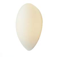 Светильник настенный ST LUCE BAGNO SL507.551.01 - цена и фото