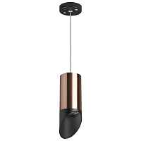Lightstar Комплект со светильником Rullo RP43037 - цена и фото Lightstar Комплект со светильником Rullo RP43037 - цена и фото