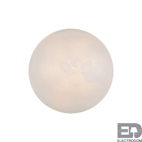 Бра L'arte Luce Emi L29622 - цена и фото