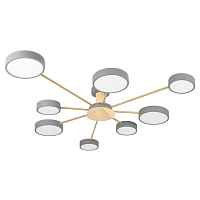 Потолочная светодиодная люстра Loft IT Sunrise 10316/8 Grey - цена и фото