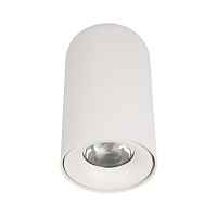 Потолочный светодиодный светильник Loft IT Tictac 10220 White 4000K - цена и фото