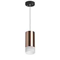 Lightstar Комплект со светильником Rullo RP43031 - цена и фото Lightstar Комплект со светильником Rullo RP43031 - цена и фото