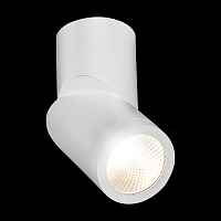 Светильник потолочный ST LUCE ST650 ST650.542.10 - цена и фото Светильник потолочный ST LUCE ST650 ST650.542.10 - цена и фото