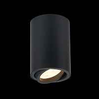 Потолочный светильник ST-Luce Torus ST108.407.01 - цена и фото Потолочный светильник ST-Luce Torus ST108.407.01 - цена и фото