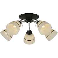 Люстра потолочная Winnifred TL1255D-05BC Toplight - цена и фото Люстра потолочная Winnifred TL1255D-05BC Toplight - цена и фото