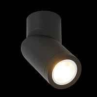 Светильник потолочный ST LUCE ST650 ST650.402.01 - цена и фото Светильник потолочный ST LUCE ST650 ST650.402.01 - цена и фото