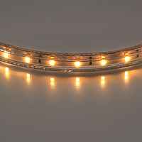 Лента белого свечения Lightstar 402002 - цена и фото Лента белого свечения Lightstar 402002 - цена и фото
