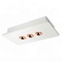 Потолочный светильник Loft IT Architect OL1072-WG/3 - цена и фото