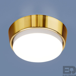 Накладной потолочный светильник Elektrostandart 1037 GX53 GD золото - цена и фото