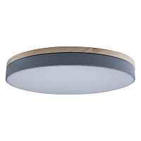Потолочный светильник Loft IT Axel 10001/36 Grey - цена и фото Потолочный светильник Loft IT Axel 10001/36 Grey - цена и фото