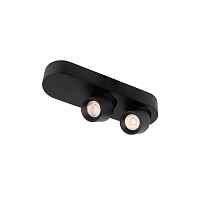 Спот Loft IT Quiet 10320/2 Black - цена и фото Спот Loft IT Quiet 10320/2 Black - цена и фото