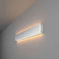 Настенный светодиодный светильник Elektrostandart 101-100-40-53 3000К матовое серебро - цена и фото