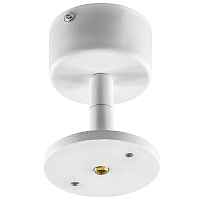 Крепление потолочное Lightstar Rullo 590006 - цена и фото Крепление потолочное Lightstar Rullo 590006 - цена и фото
